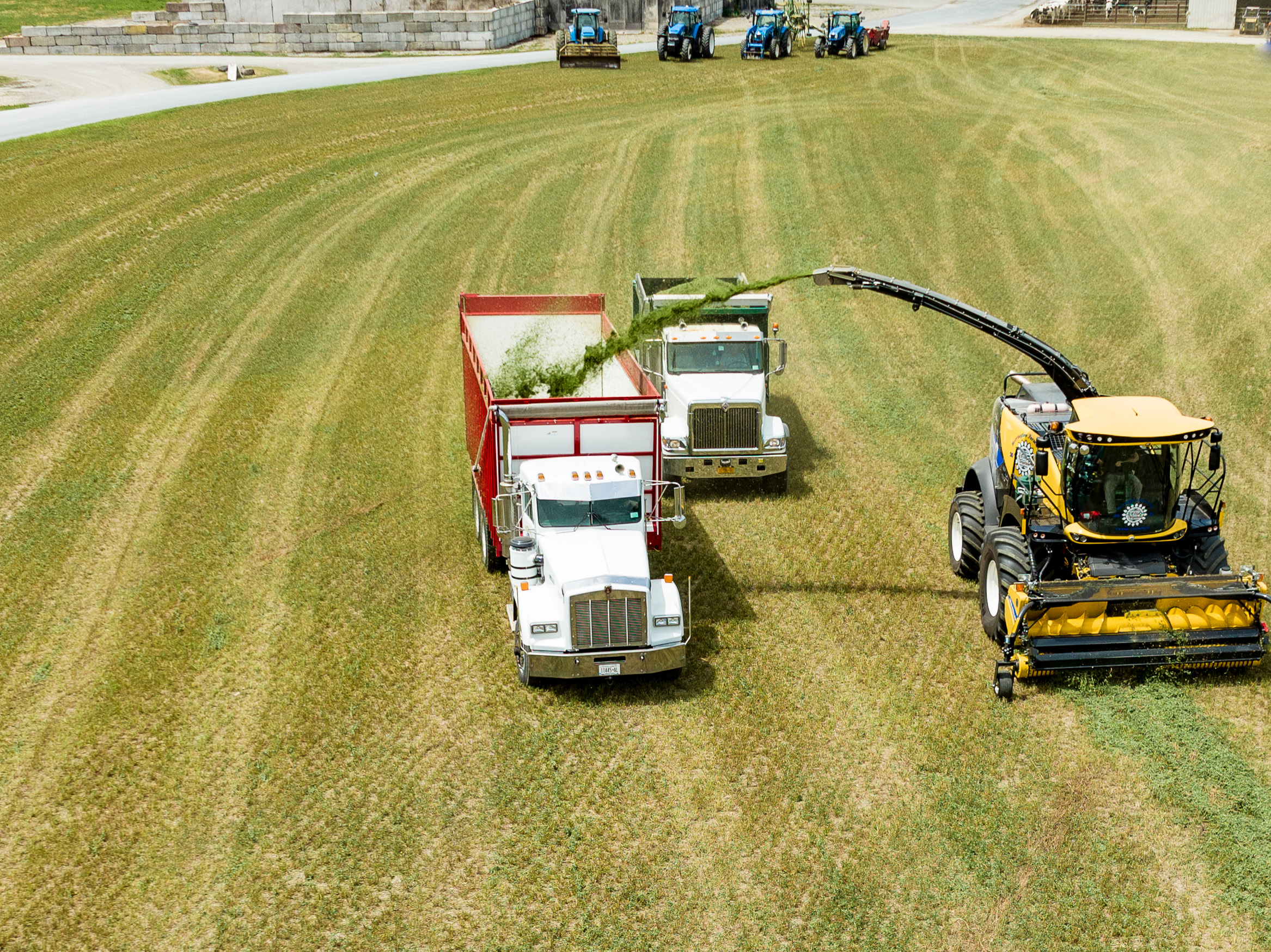 Commercial farm harvesting operation in upstate New York